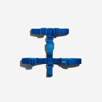 ZEEDOG ARNES NEOPRO BLUE