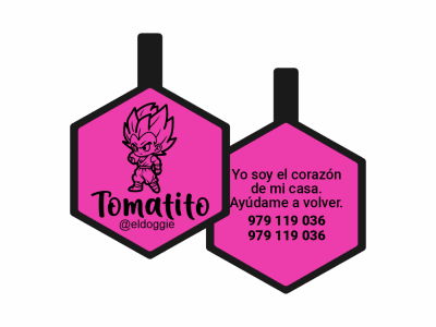 PLACA DE IDENTIFICACIÓN HEXÁGONO - VEGITTO
