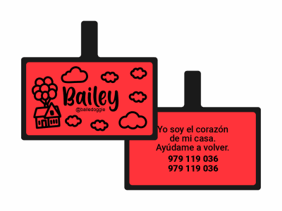 PLACA DE IDENTIFICACIÓN RECTÁNGULO - UP