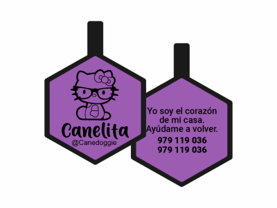PLACA DE IDENTIFICACIÓN HEXÁGONO - DOCTOR HELLO KITTY