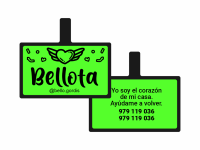 PLACA DE IDENTIFICACIÓN RECTÁNGULO - CORAZON VOLADOR
