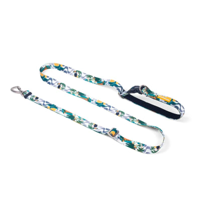 CACHORREIROS CORREA MANOS LIBRES RIO