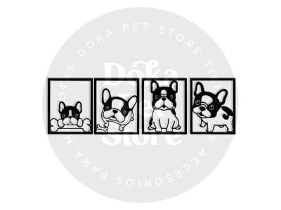 BULLDOG FRANCÉS PUPPY