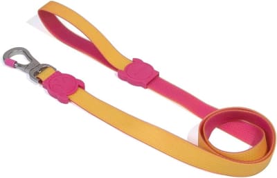 ZEEDOG CORREA NEOPRO LYRA