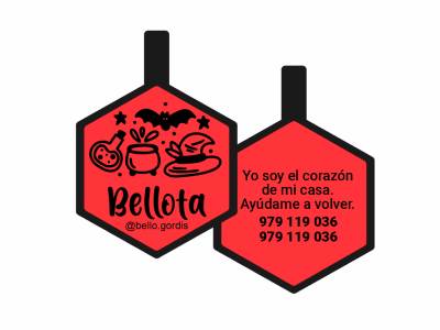 PLACA DE IDENTIFICACIÓN HALLOWEEN HEXÁGONO - POCIONES