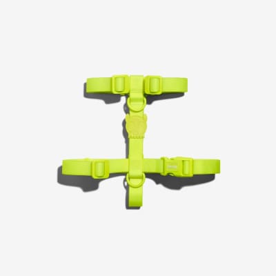 ZEEDOG ARNES NEOPRO LIME