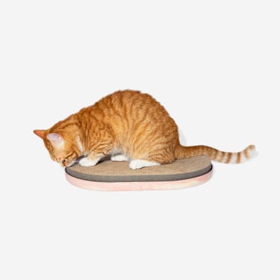ZEECAT SCRATCHER LIGHT PINK
