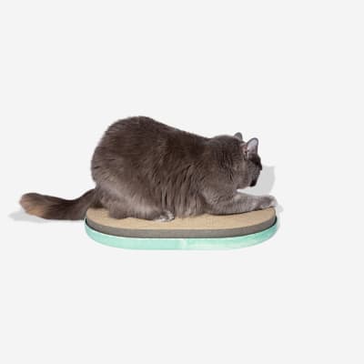 ZEECAT SCRATCHER MINT