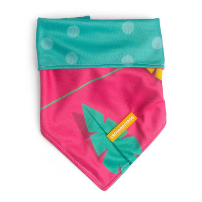 CACHORREIROS BANDANA OLIVIA