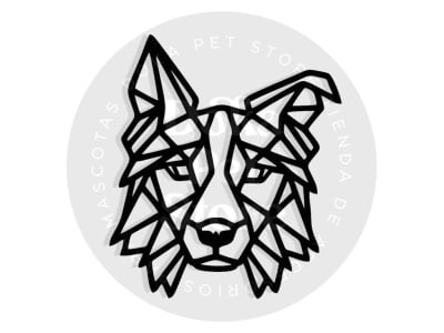 GEOMÉTRICO BORDER COLLIE