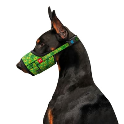 Waudog Bozal AVOCADO Nylon Ultra cómodo