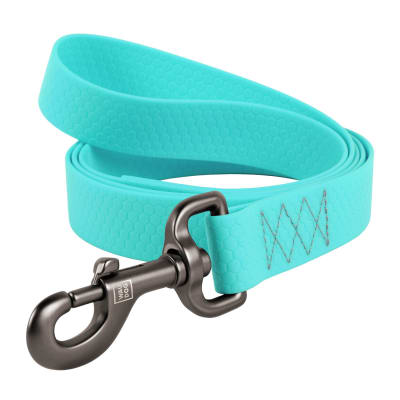 WAUDOG CORREA WATERPROOF MENTA - BRILLA EN LA OSCURIDAD