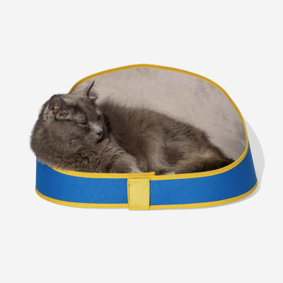 ZEECAT Bed Polo cama para gato