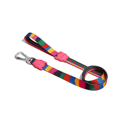 ZEEDOG CORREA CHROMA