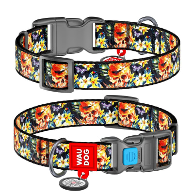 WAUDOG COLLAR GLAMOROUS SKULLS - HEBILLA FASTEX - PLACA QR