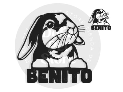 CONEJO FIGURA