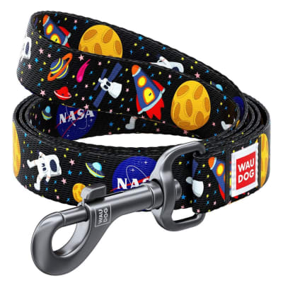 WAUDOG CORREA NASA