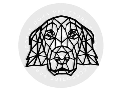 GEOMÉTRICO GOLDEN