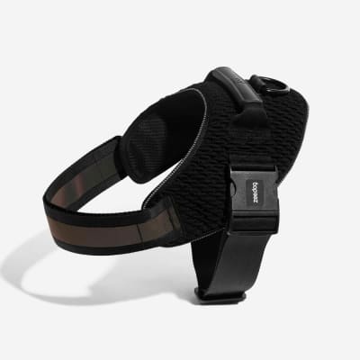 ZEEDOG GOTHAM FLYHARNESS ARNES