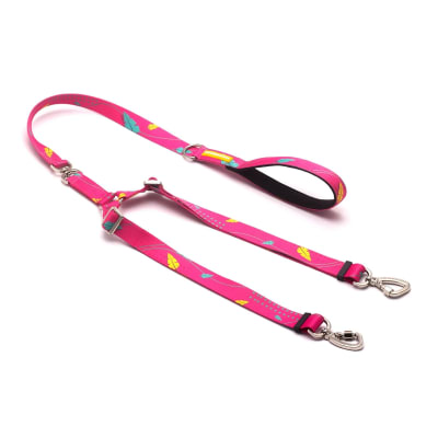 CACHORREIROS CORREA DOBLE OLIVIA