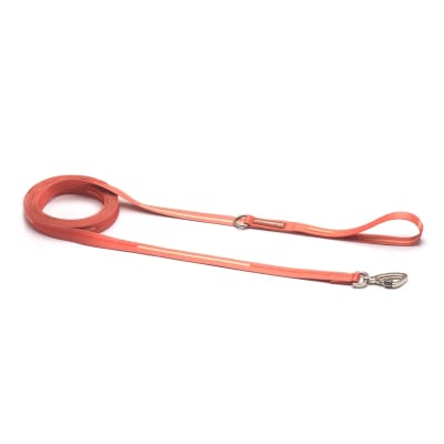 CACHORREIROS CORREA EXTRA LARGA CORAL