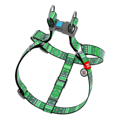 WAUDOG ARNES ETHNO GREEN - HEBILLA FASTEX - PLACA QR