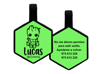 PLACA DE IDENTIFICACIÓN HEXÁGONO - GROOT