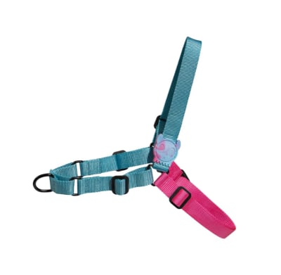 ZEEDOG SOFT WALK HARNESS HYDRA