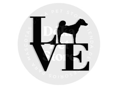 JACK RUSSELL LOVE