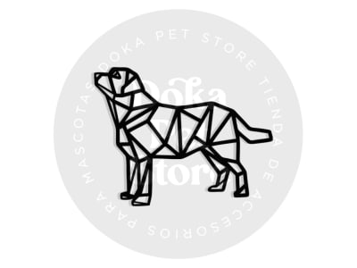 CUERPO GEOMÉTRICO  LABRADOR
