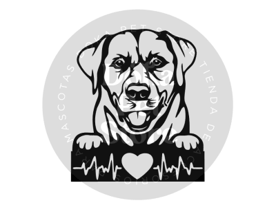 LABRADOR BEATS