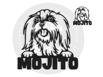 BICHON MALTES FIGURA