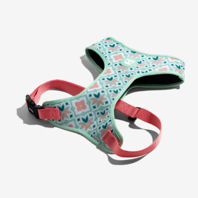 ZEEDOG MARCUCH PECHERA AIR MESH