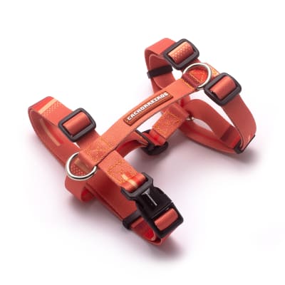 CACHORREIROS ARNES CORAL