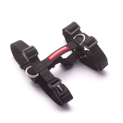 CACHORREIROS ARNES BLACK
