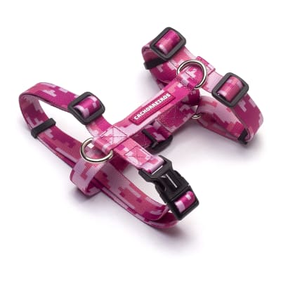 CACHORREIROS ARNES CAMUFLADO ROSADO