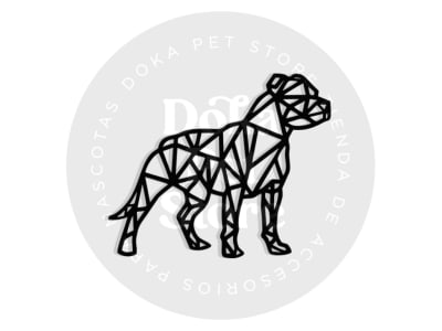 CUERPO GEOMÉTRICO  PITBULL