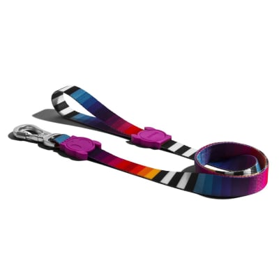 ZEEDOG CORREA PRISMA
