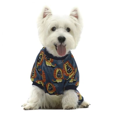 FITWARM PIJAMA ROAR LION