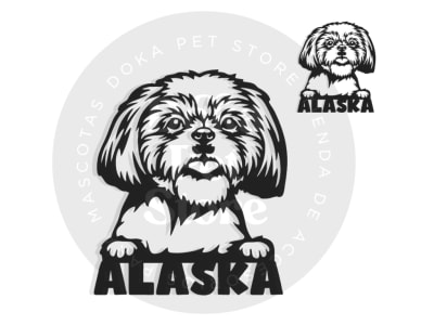 SHIH TZU 1 FIGURA
