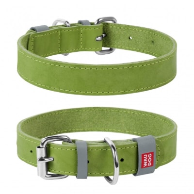 WAUDOG clásico collar verde