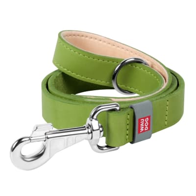 WAUDOG clásico correa verde