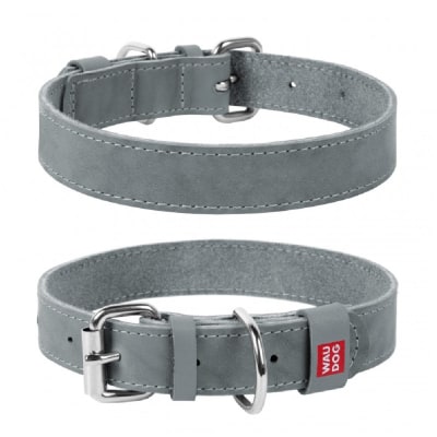 WAUDOG clásico collar gris