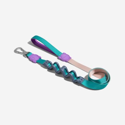 ZEEDOG CORREA RUFF BOOGIE