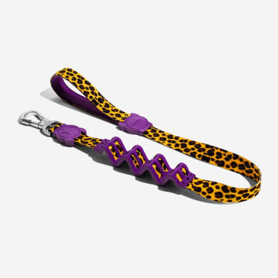 ZEEDOG CORREA RUFF HONEY
