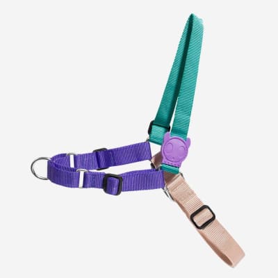 ZEEDOG SOFT WALK HARNESS BOOGIE