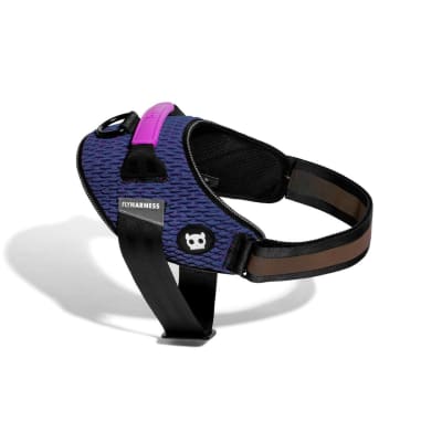 ZEEDOG WICKED FLYHARNESS ARNES