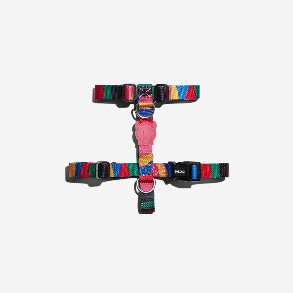 ZEEDOG ARNES CHROMA1