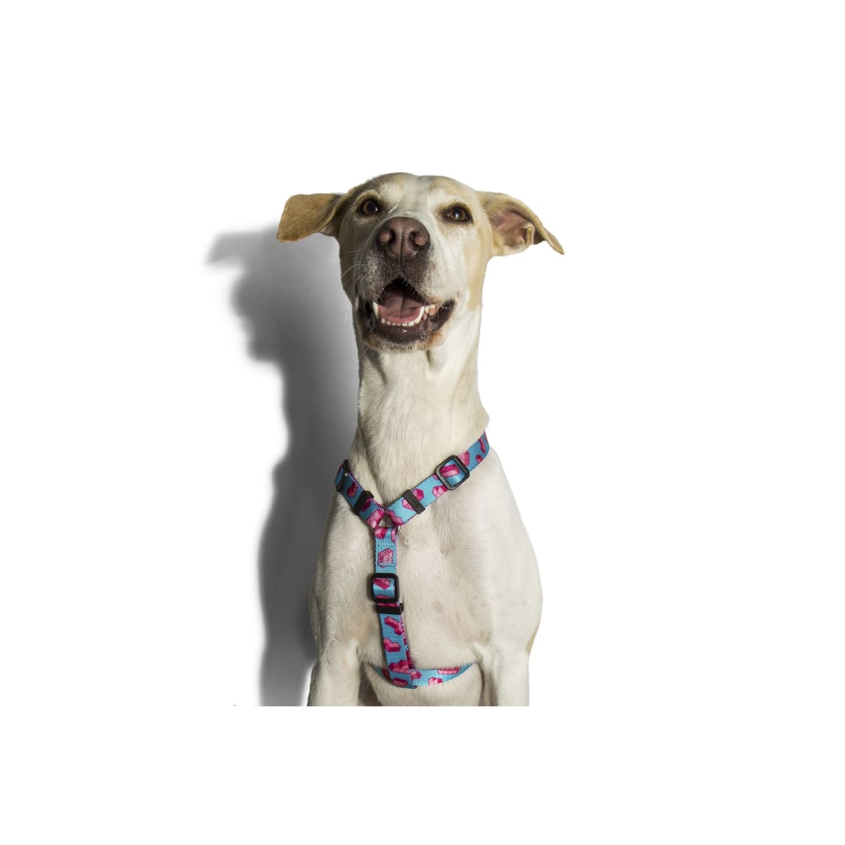 ZEEDOG ARNES TETRIS3