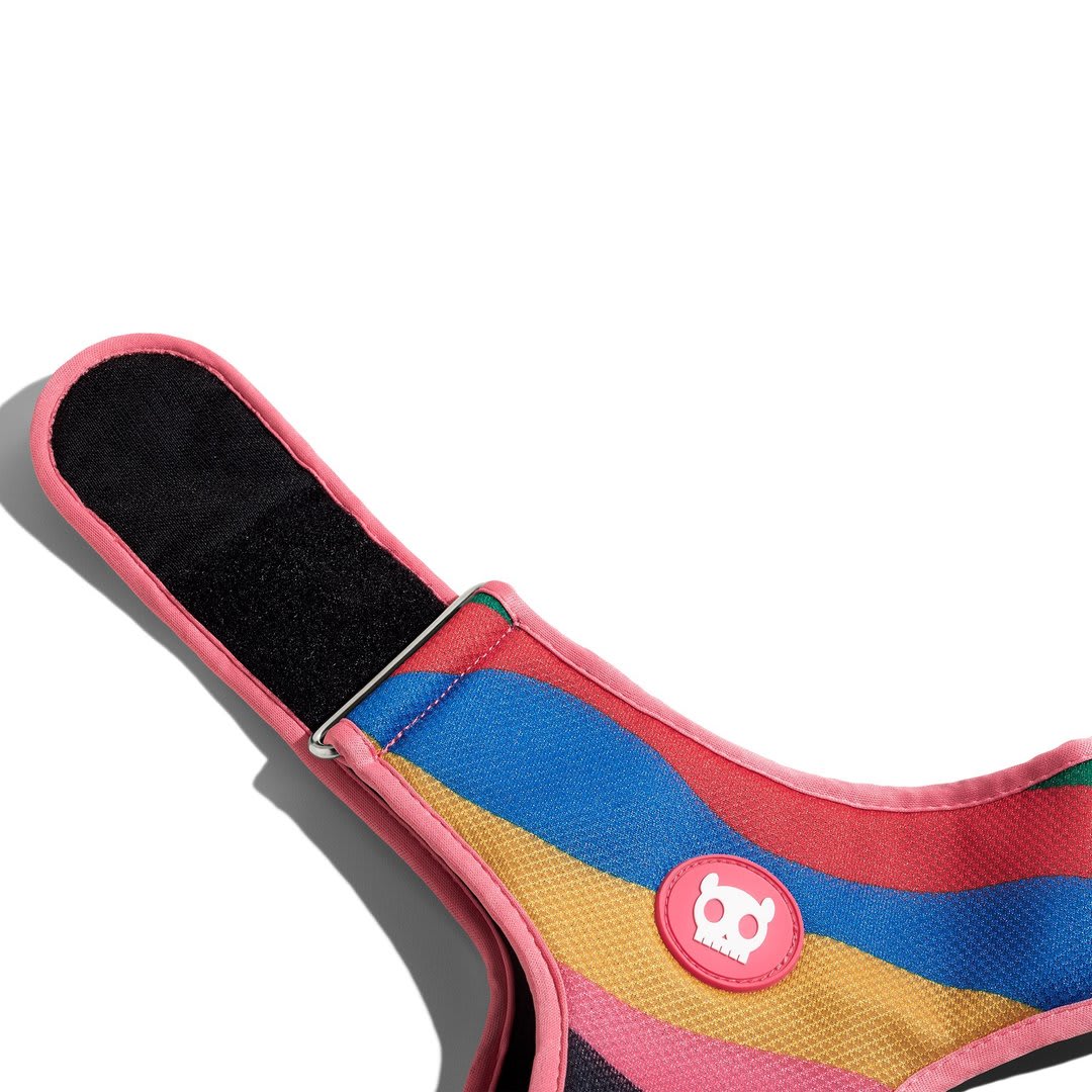 ZEEDOG CHROMA PECHERA AIR MESH4